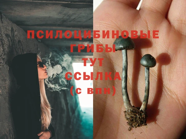 гашишное масло Михайловка