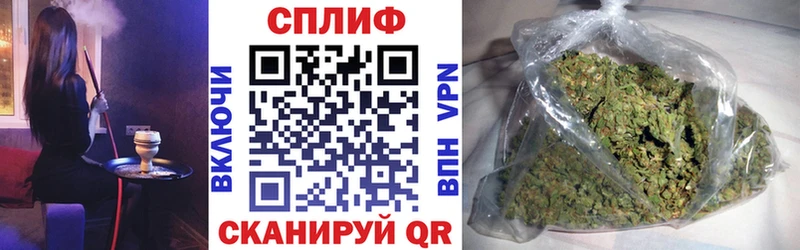 Конопля сатива Партизанск