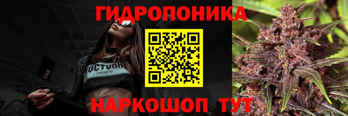Шишки марихуана ГИДРОПОН  Шишки марихуана White Widow  Каннабис конопля  Партизанск 
