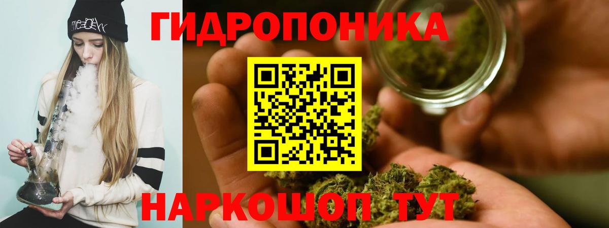 Бошки Шишки план Партизанск